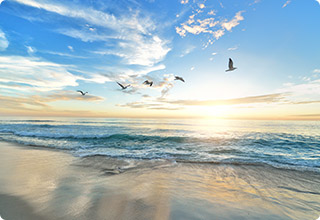 ��˹ά��˹�ٷ���վ